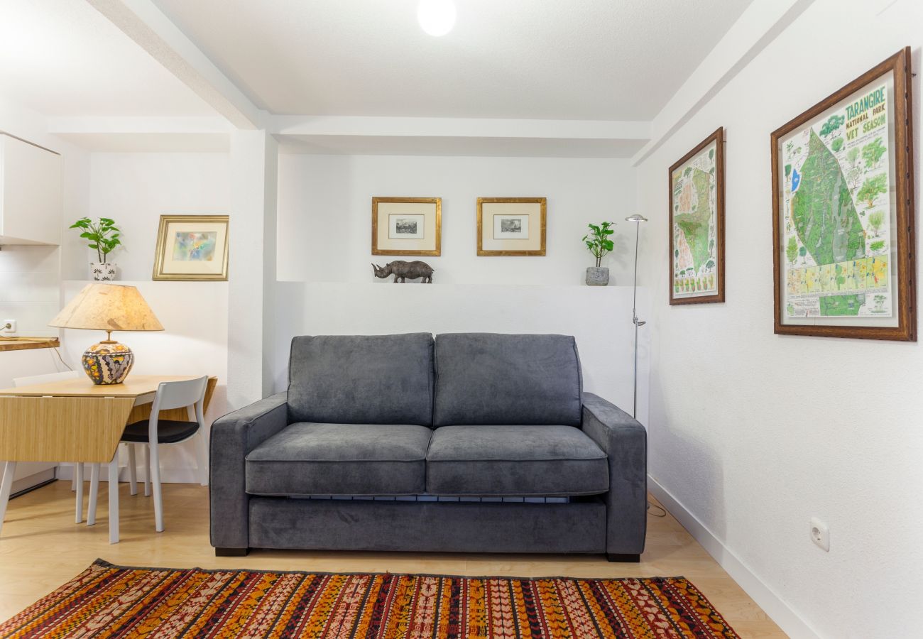 Apartment in Madrid - MIT House Chueca V in Madrid 