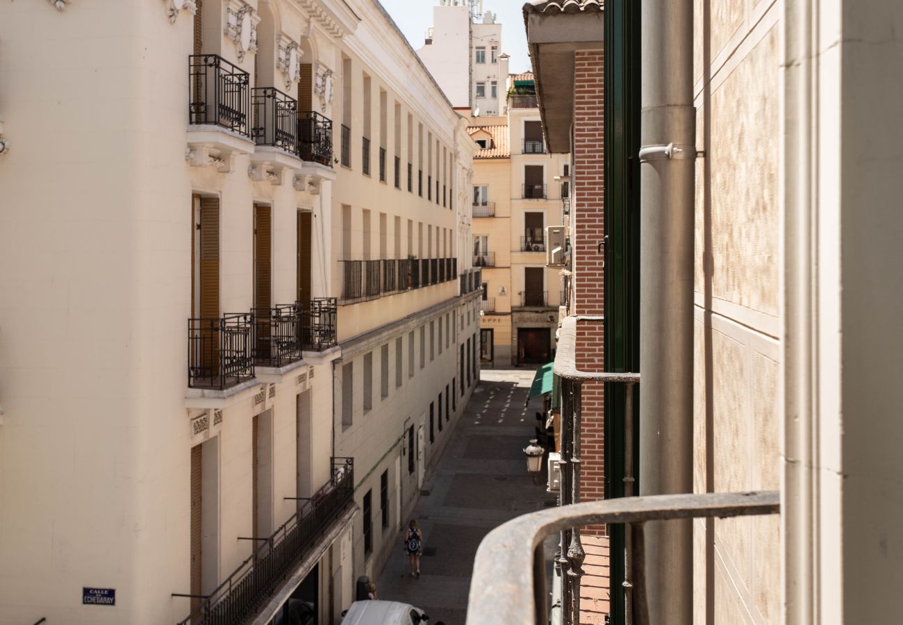 Apartment in Madrid - Echegaray II apartment  in Madrid 