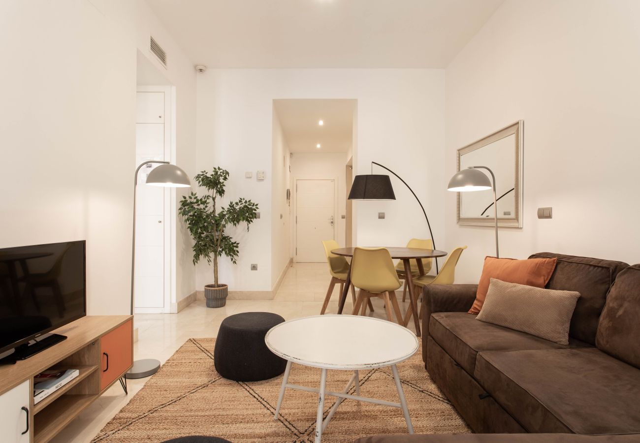 Apartment in Madrid - Echegaray II apartment  in Madrid 