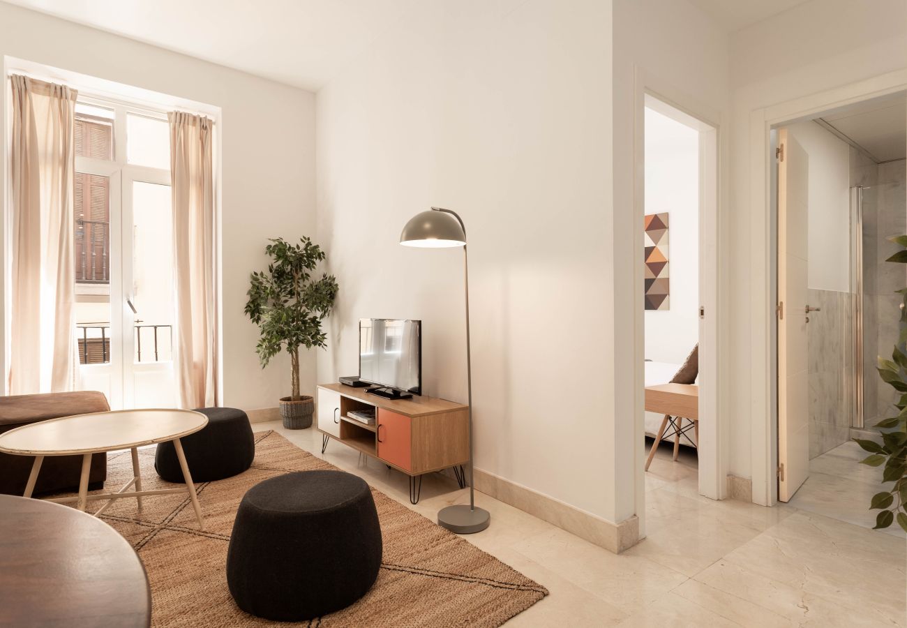 Apartment in Madrid - Echegaray II apartment  in Madrid 
