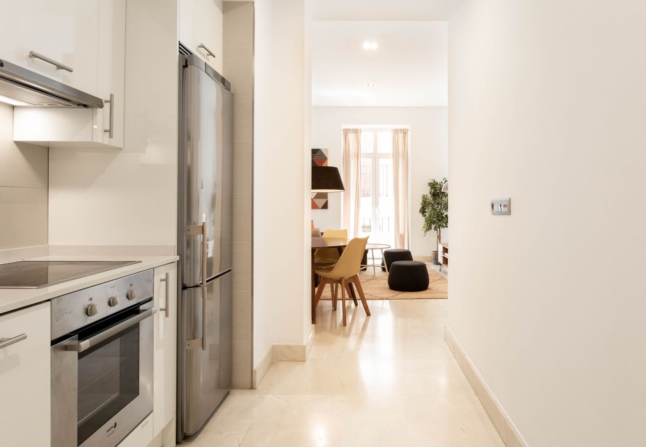 Apartment in Madrid - Echegaray II apartment  in Madrid 