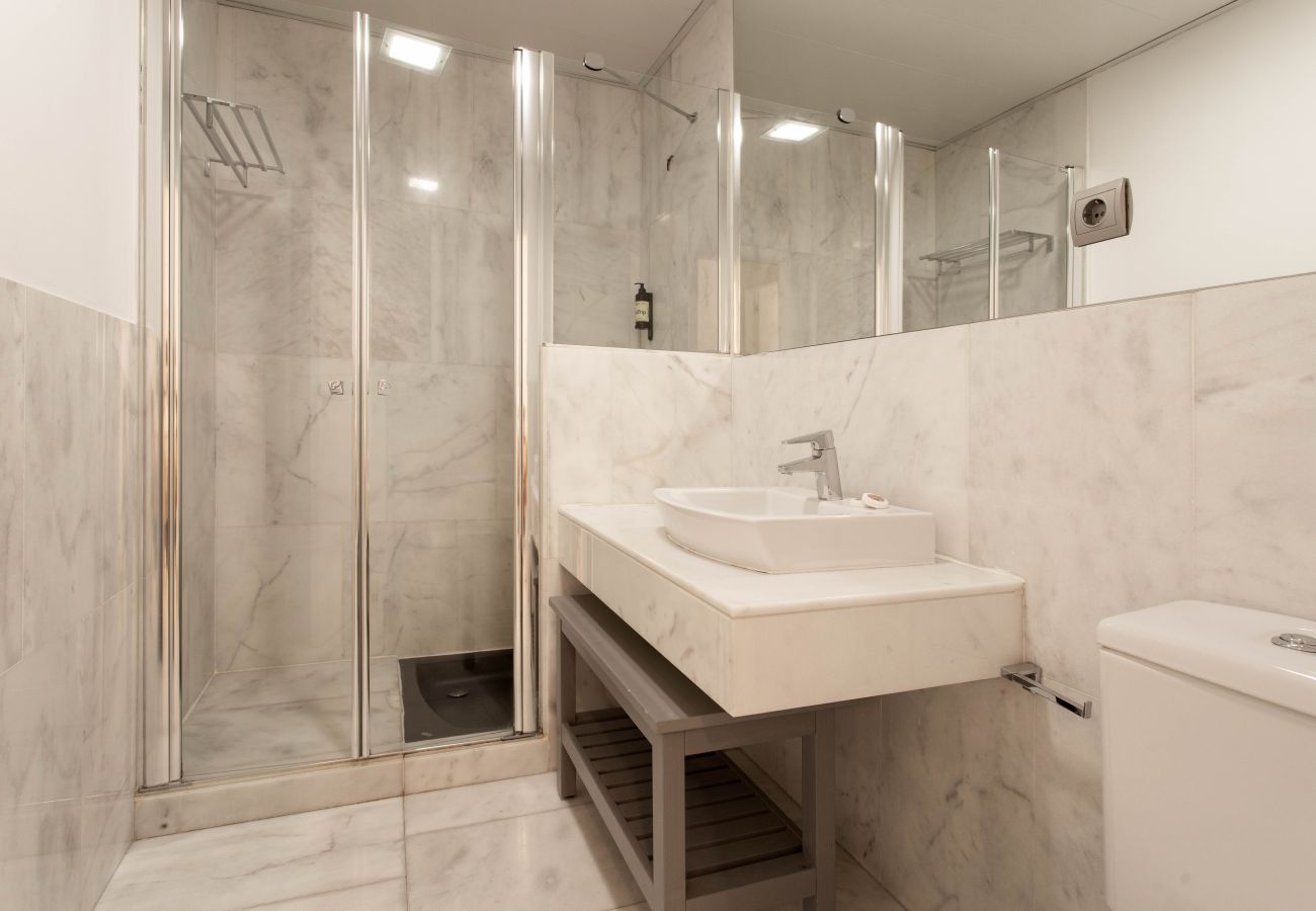 Apartment in Madrid - Echegaray II apartment  in Madrid 