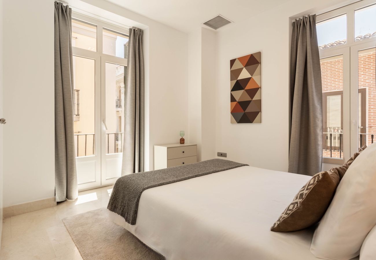 Apartment in Madrid - Echegaray II apartment  in Madrid 