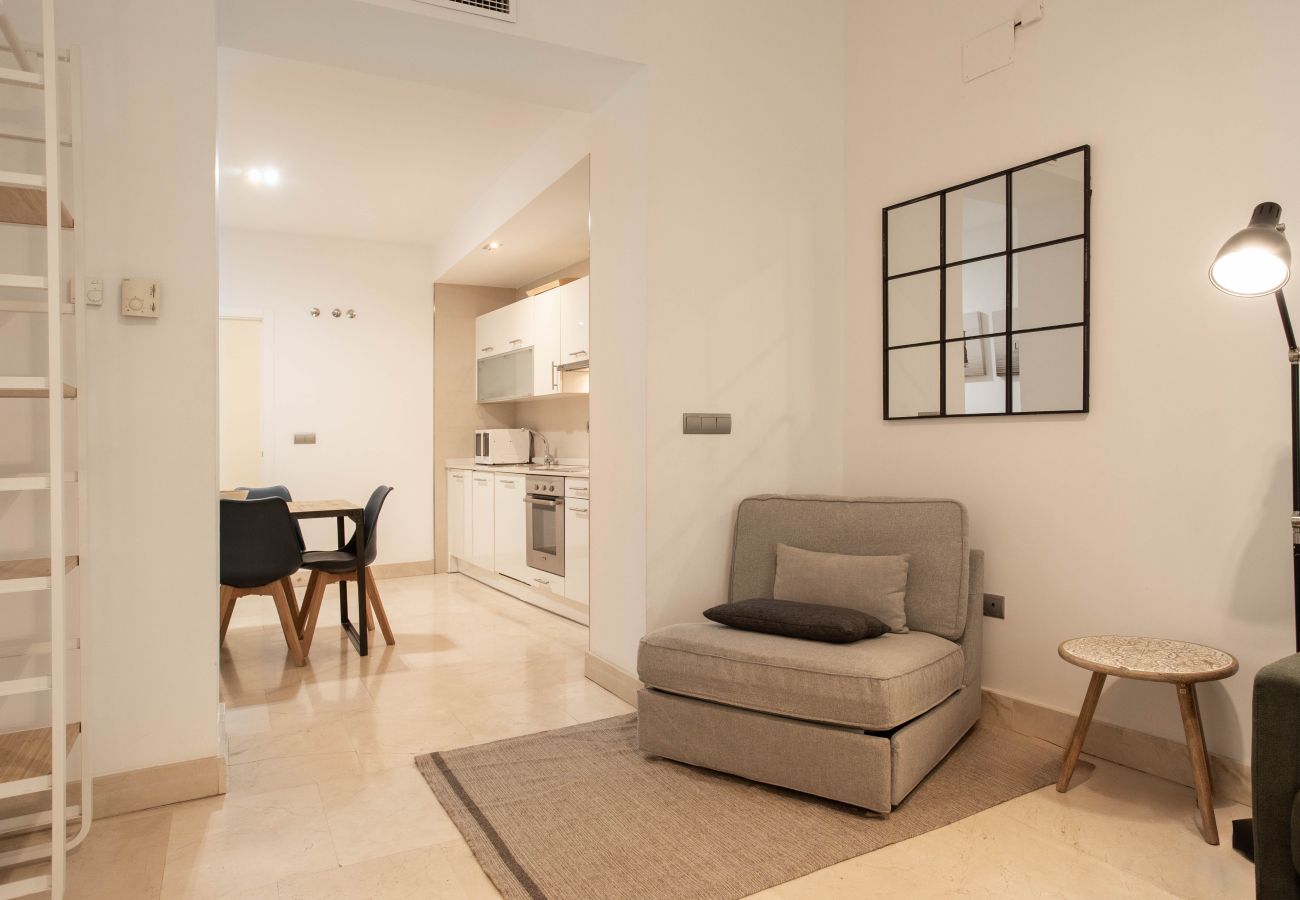 Apartment in Madrid - Echegaray V apartment  in Madrid 