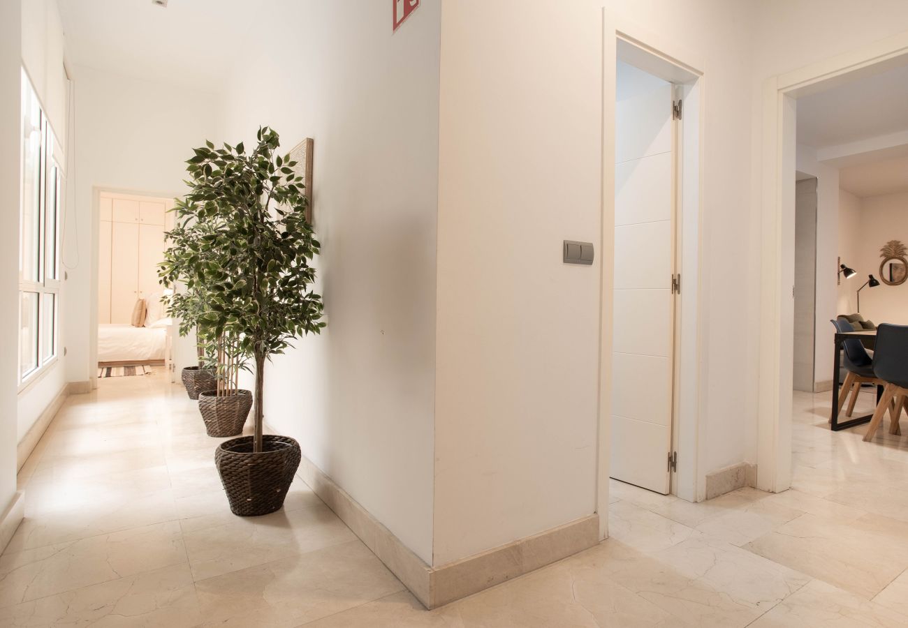 Apartment in Madrid - Echegaray V apartment  in Madrid 