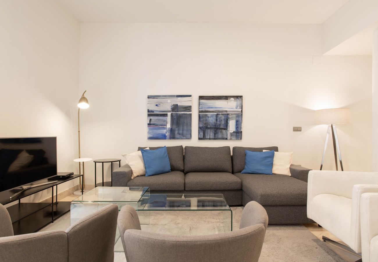 Apartment in Madrid - Echegaray III apartment  in Madrid 