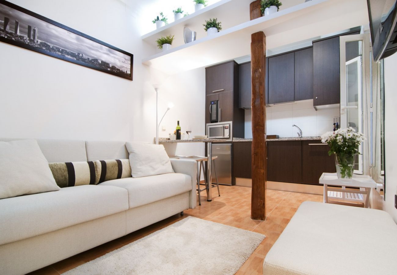 Apartment in Madrid - MIT House Genova in Madrid 