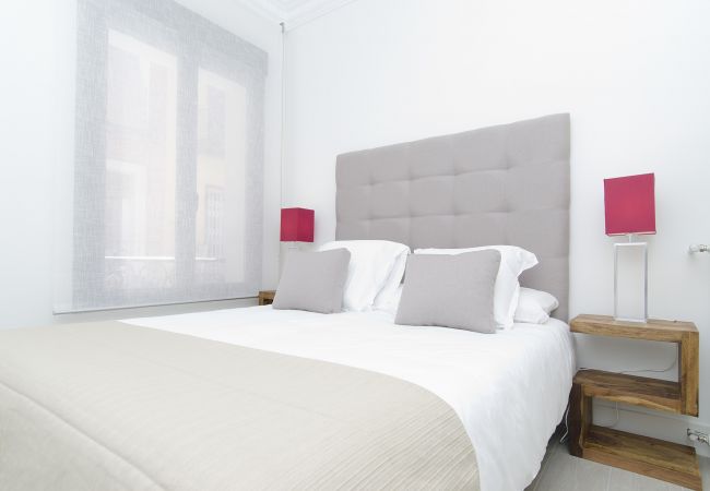 Apartment in Madrid -  Apolo I apartment in Madrid