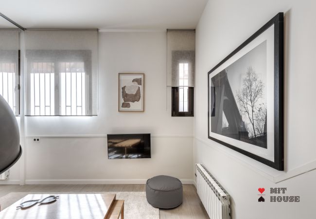 Apartment in Madrid -  Apolo Loft  apartment in  Madrid 