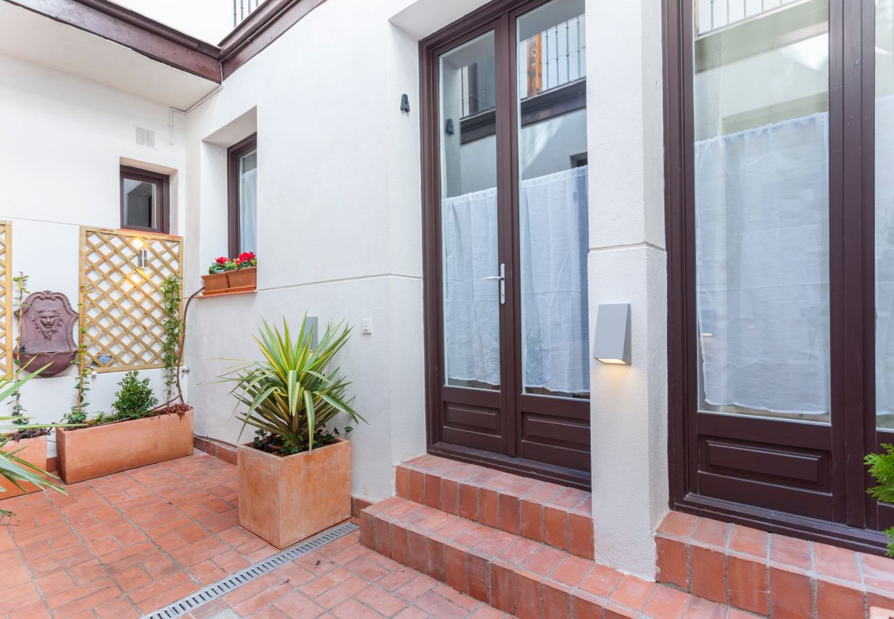 Apartment in Madrid -  Patio I apartment in Madrid