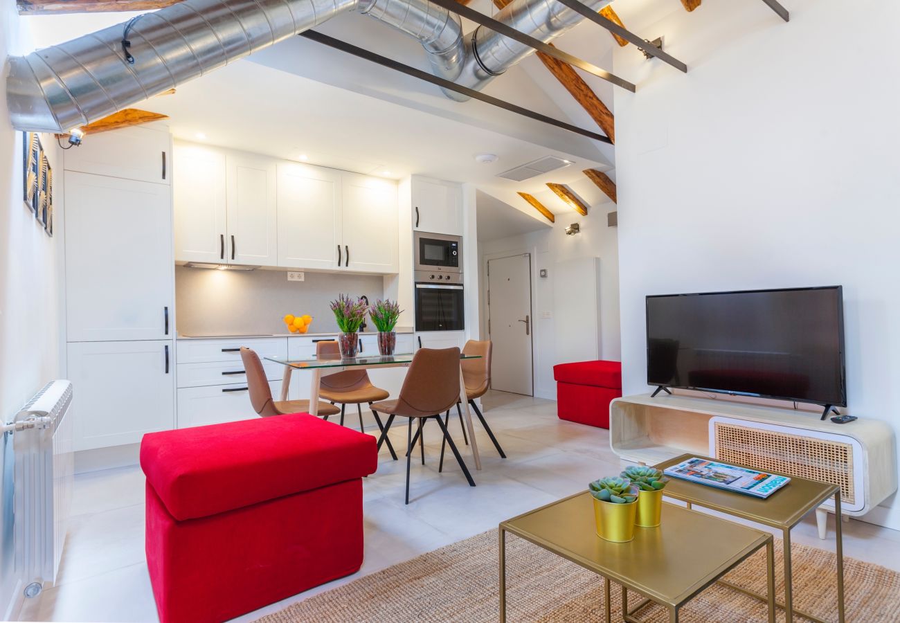 Apartment in Madrid -  Patio IX apartment in Madrid