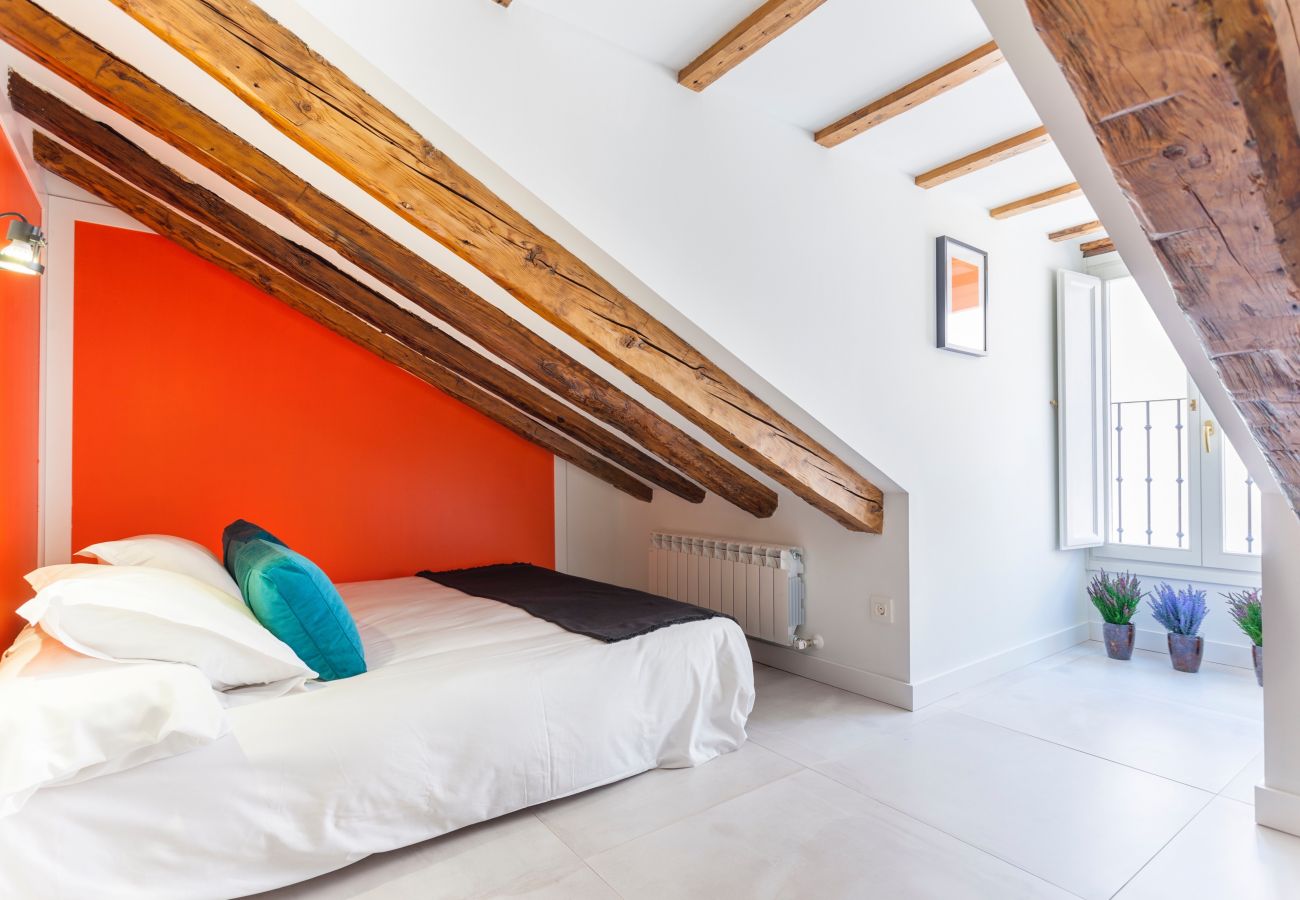 Apartment in Madrid -  Patio IX apartment in Madrid