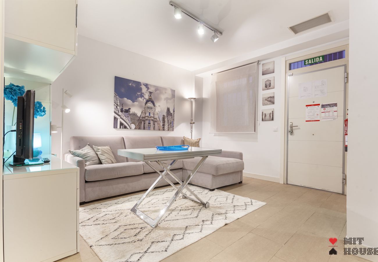Apartment in Madrid - MIT House Salamanca V in Madrid 