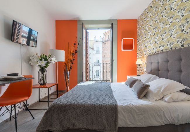 Studio in Madrid -  Santa Ana Boutique I apartment  in Madrid Studio in Madrid -  Santa Ana Boutique I apartment  in Madrid