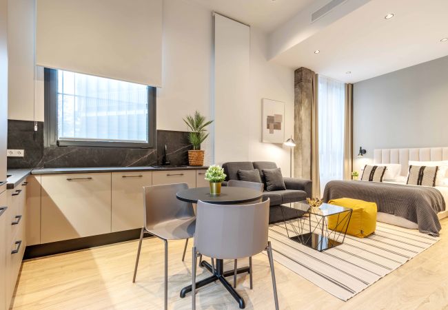 Studio in Madrid - Castilla III in aparment Madrid Studio in Madrid - Castilla III in aparment Madrid