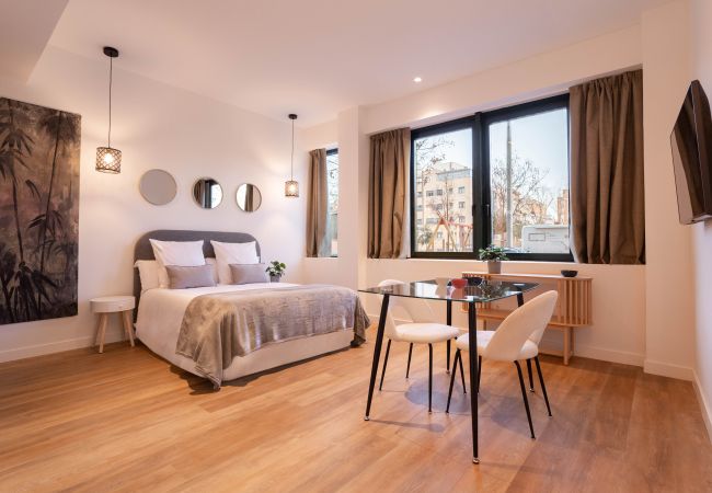 Studio in Madrid - Catalina 01 apartment in Madrid