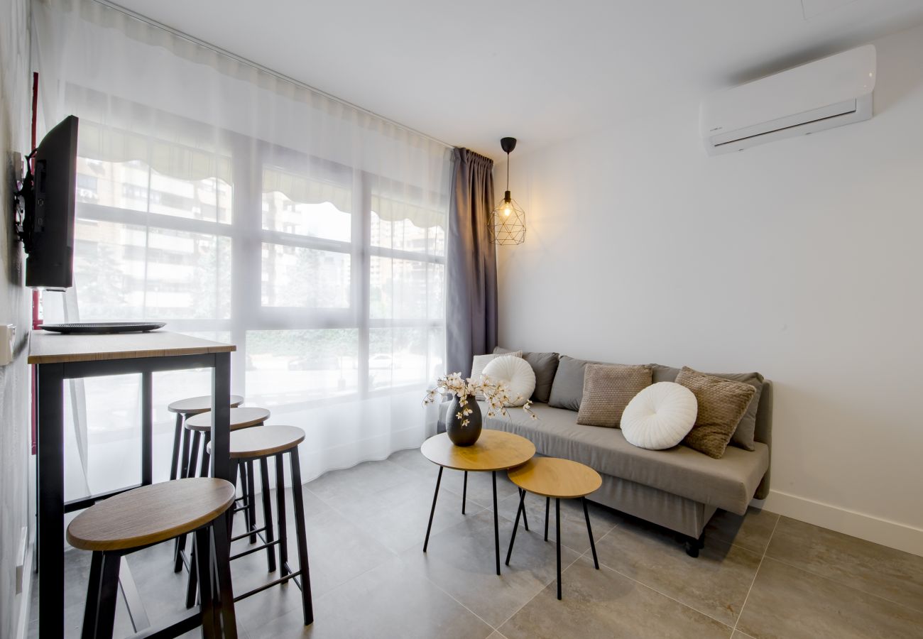 Studio in Madrid - USL Bernabeu apartment in Madrid 