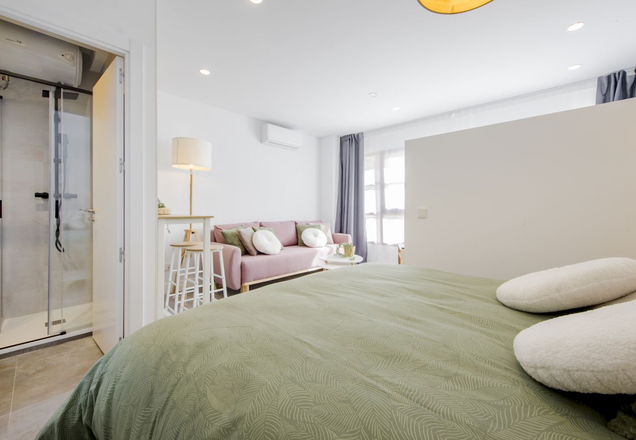 Studio in Madrid - Urban  Cibeles apartment in Madrid 