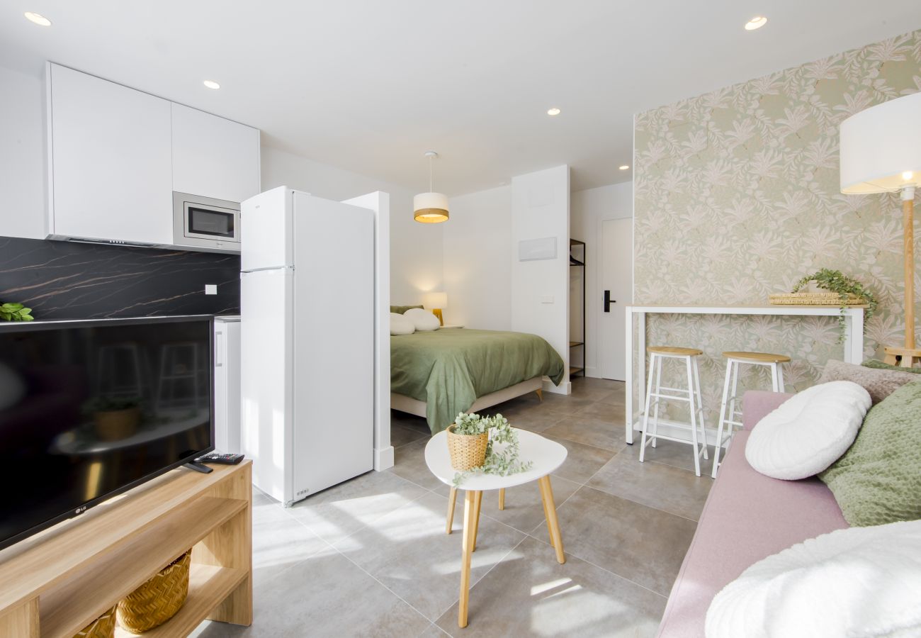 Studio in Madrid - Urban  Cibeles apartment in Madrid 