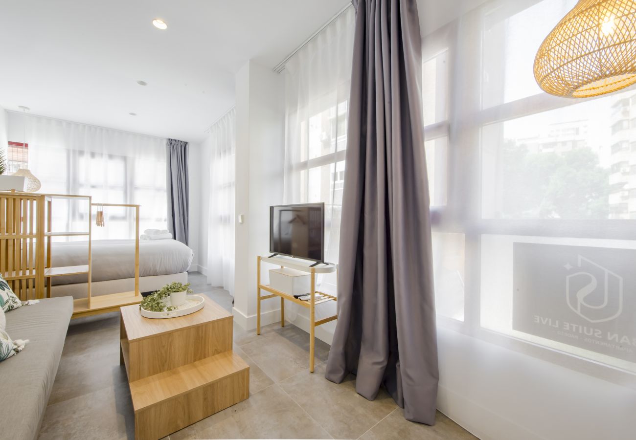 Studio in Madrid - USL Las Ventas apartment in Madrid 
