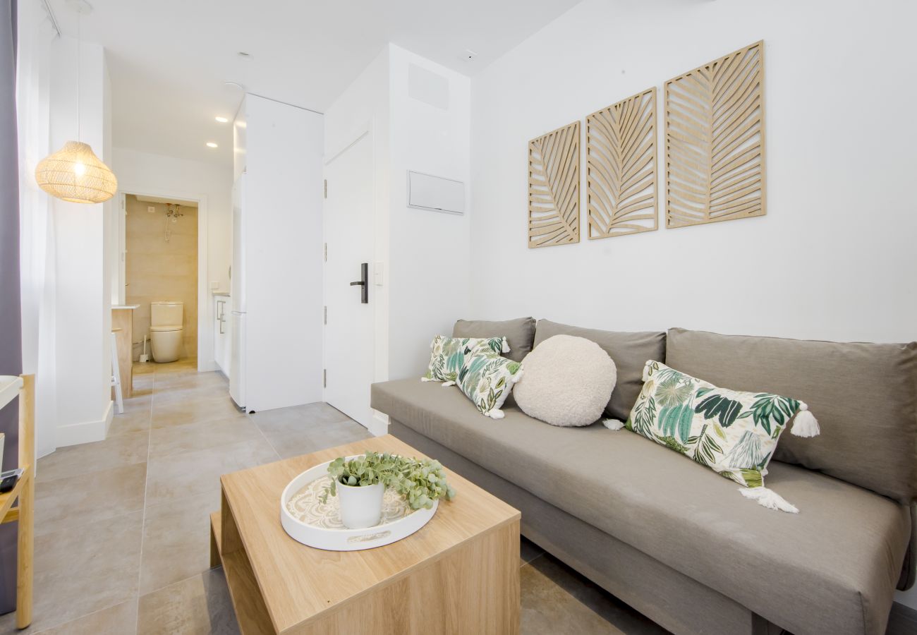 Studio in Madrid - USL Las Ventas apartment in Madrid 