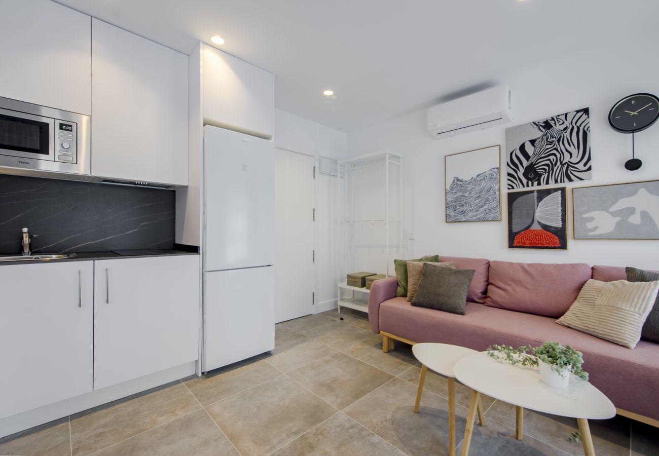 Studio in Madrid - Urban Palacio Real apartment in Madrid 