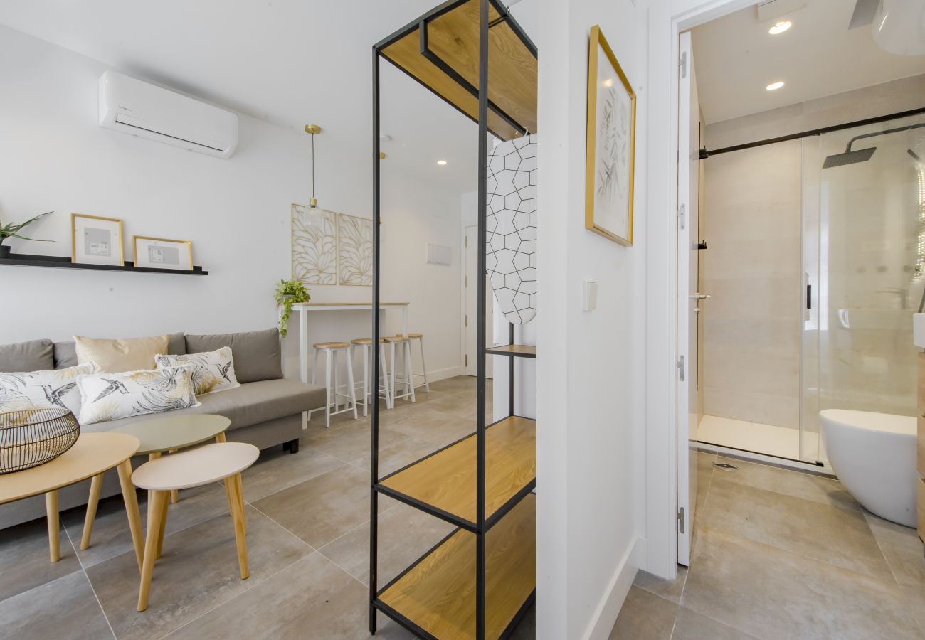 Studio in Madrid - USL Puerta del Sol apartment in Madrid 