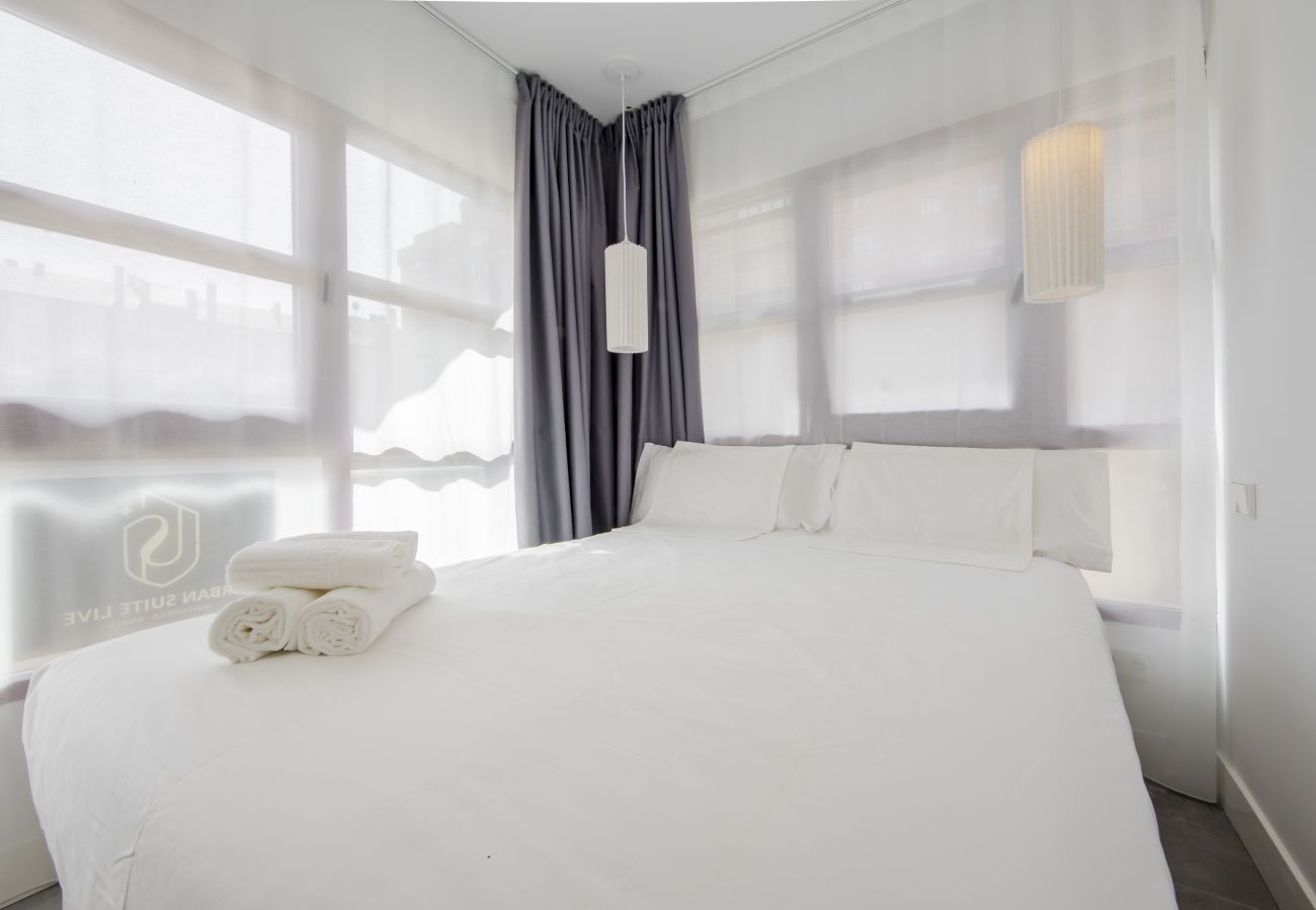 Studio in Madrid - USL Retiro Apartment in Madrid 