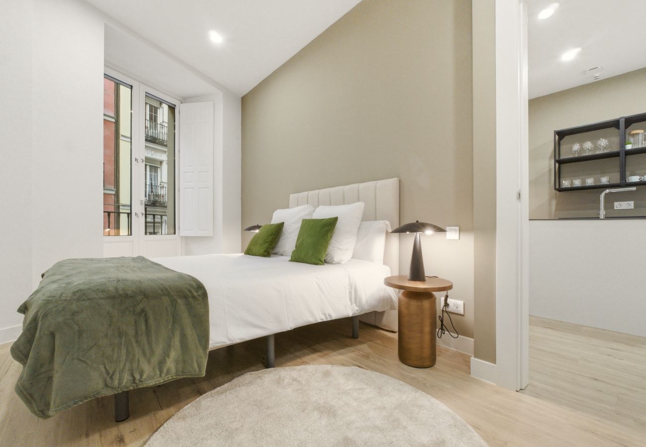 Apartment in Madrid - Teatro I apartment in Madrid 