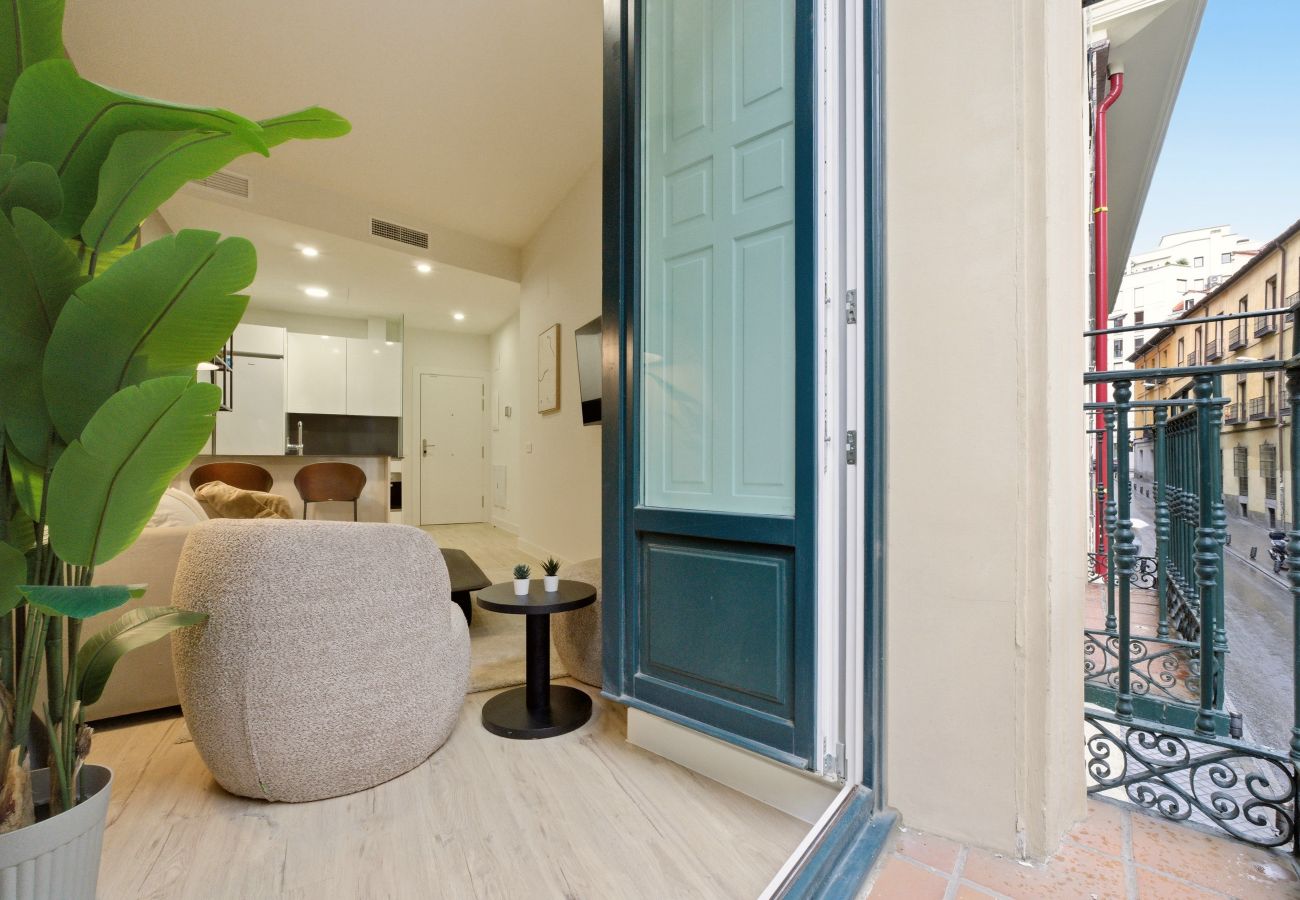 Apartment in Madrid - Teatro I apartment in Madrid 