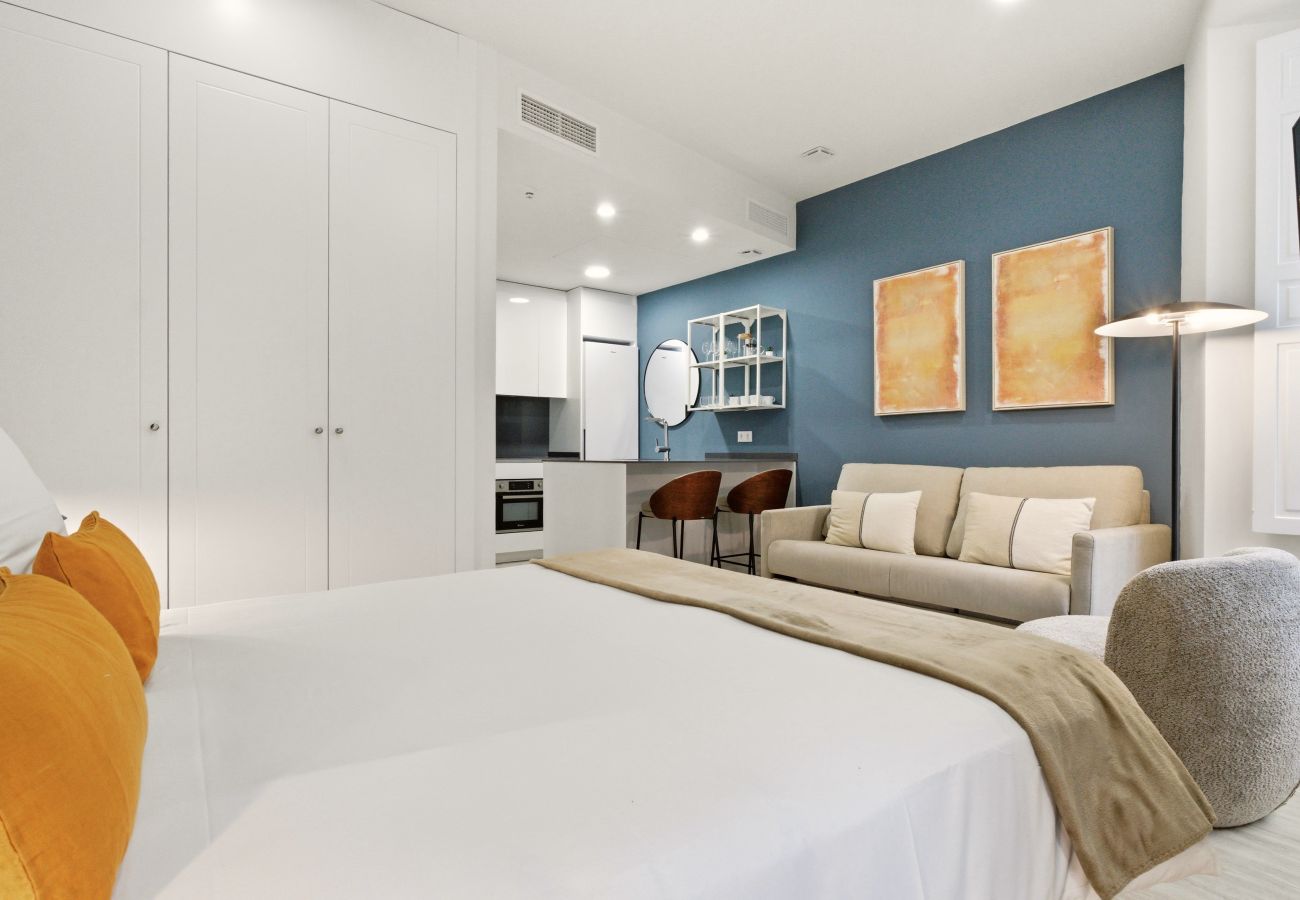 Studio in Madrid - Teatro III apartment in Madrid 