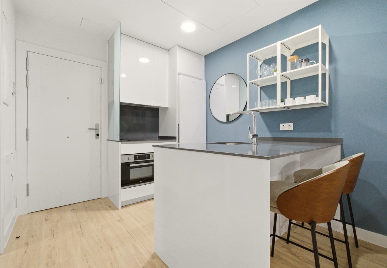 Studio in Madrid - Teatro III apartment in Madrid 