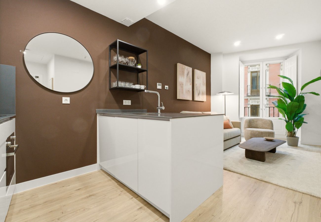 Apartment in Madrid - Teatro IV apartment in Madrid 