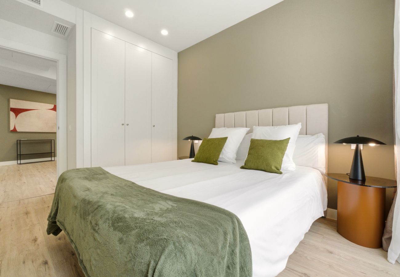 Apartment in Madrid - Teatro Terrace XI apartment in Madrid 