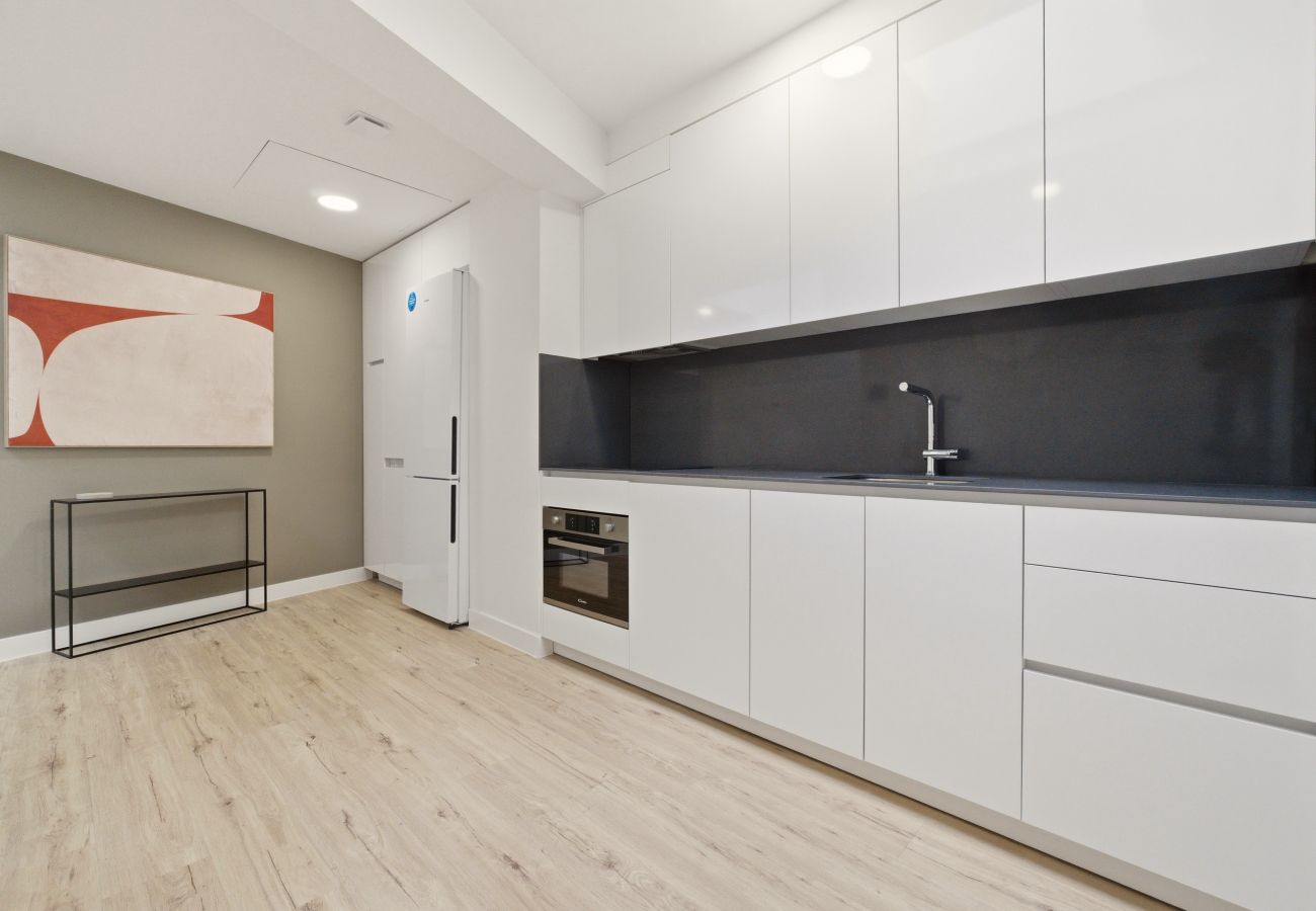 Apartment in Madrid - Teatro Terrace XI apartment in Madrid 