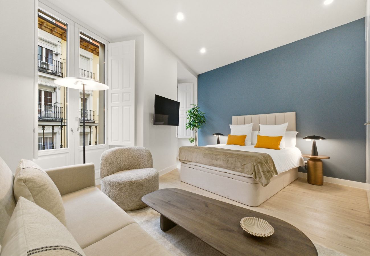 Studio in Madrid - Teatro VI apartment in Madrid 