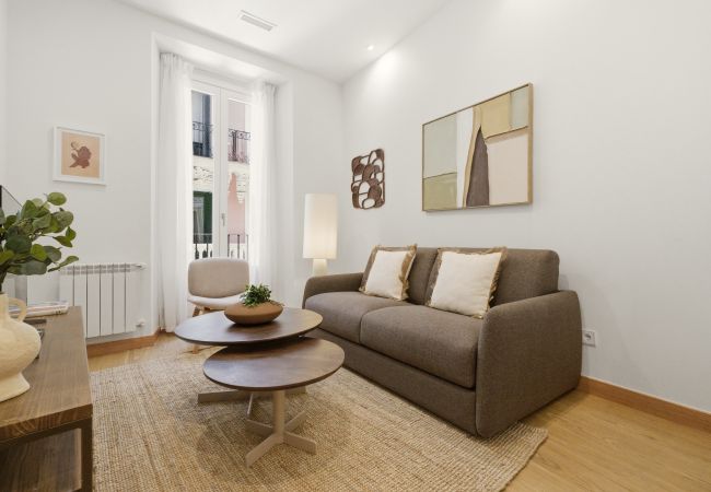 Apartment in Madrid - Casa Cortés IV apartment in Madrid 