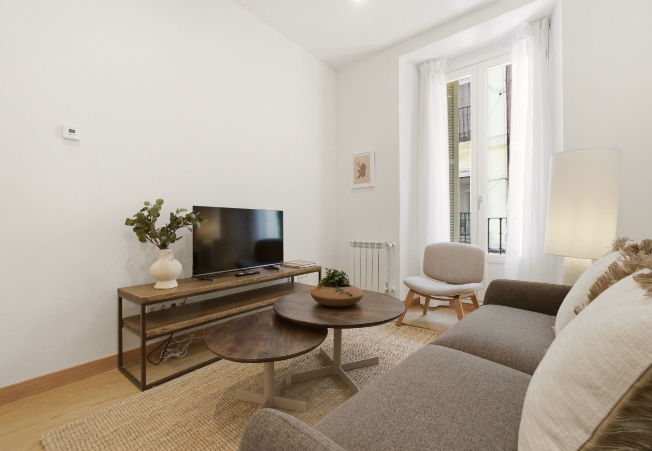 Apartment in Madrid - Casa Cortés IV apartment in Madrid 