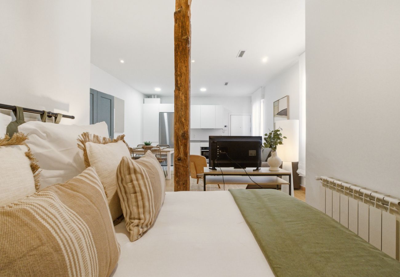 Studio in Madrid - Casa Cortés V apartment in Madrid 