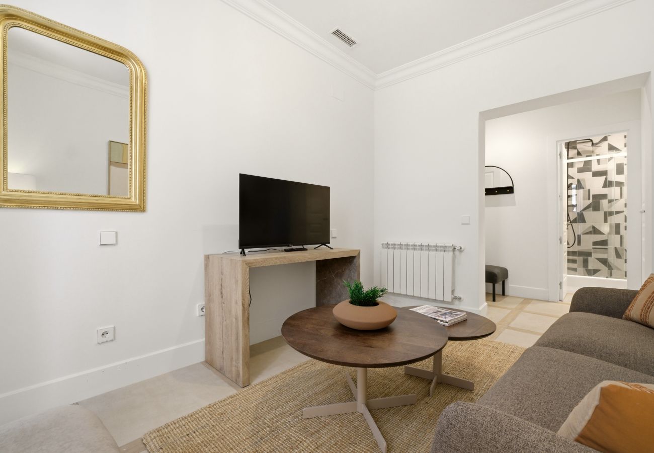 Apartment in Madrid - Casa Cortes VII apartment in Madrid 