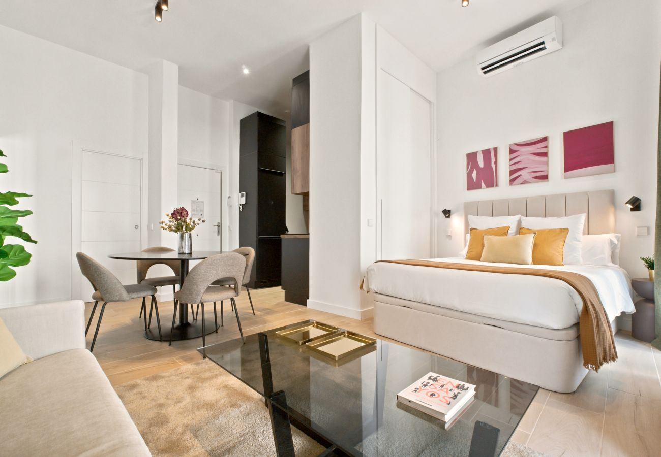 Studio in Madrid - Delicias Terrace apartment in Madrid 