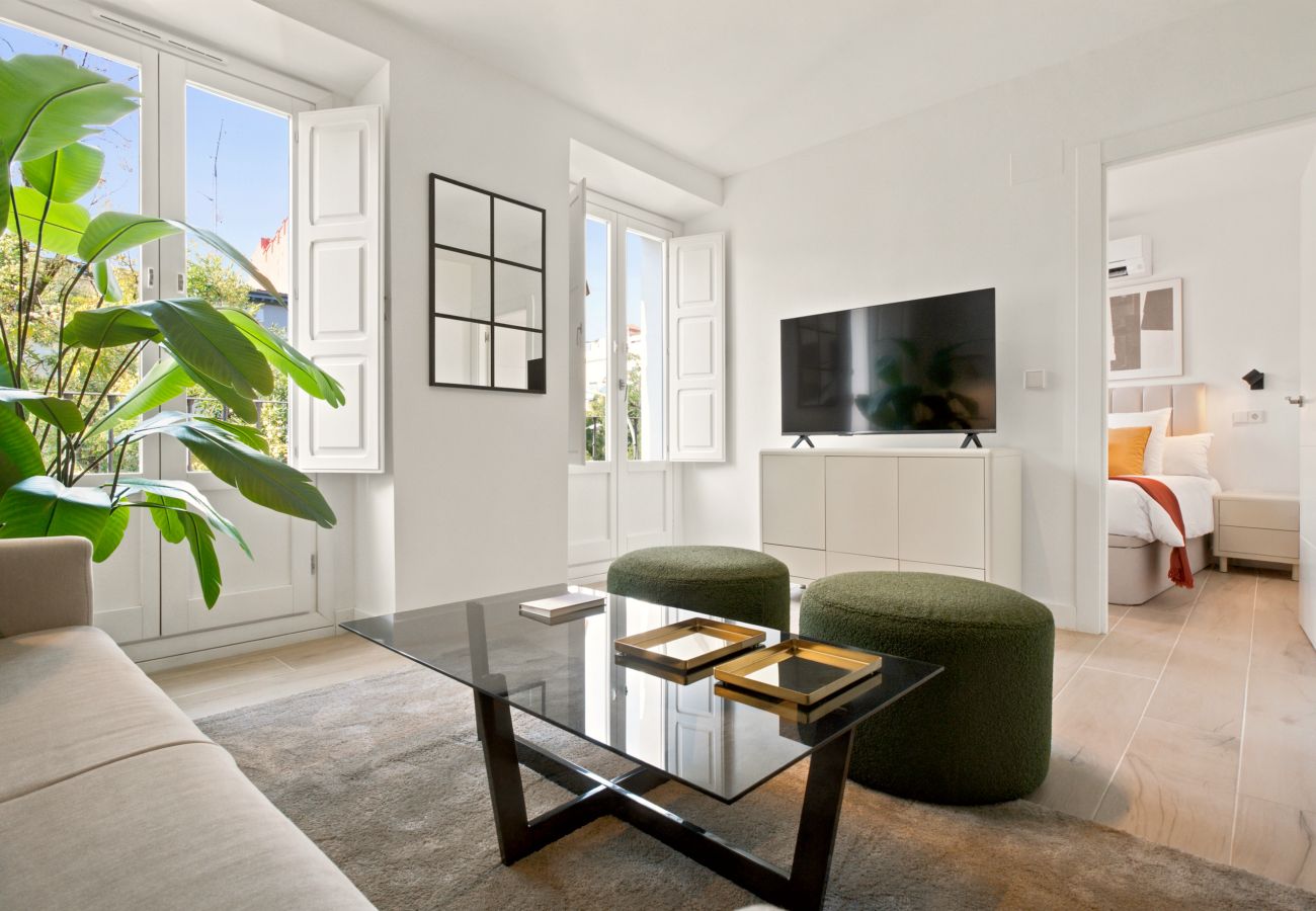 Apartment in Madrid - Delicias Luxe  IV apartment in Madrid 