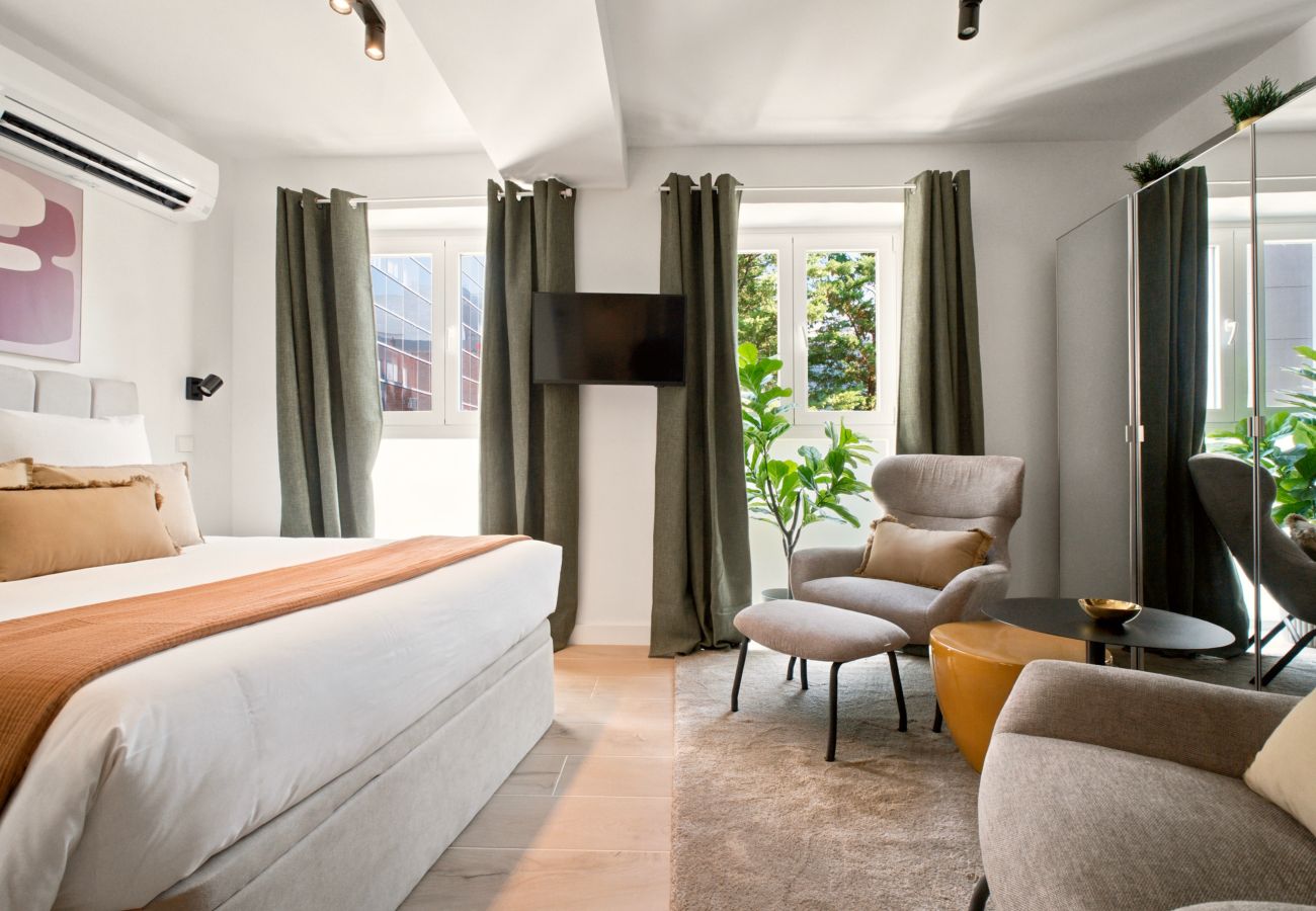 Studio in Madrid - Delicias V apartment in Madrid 
