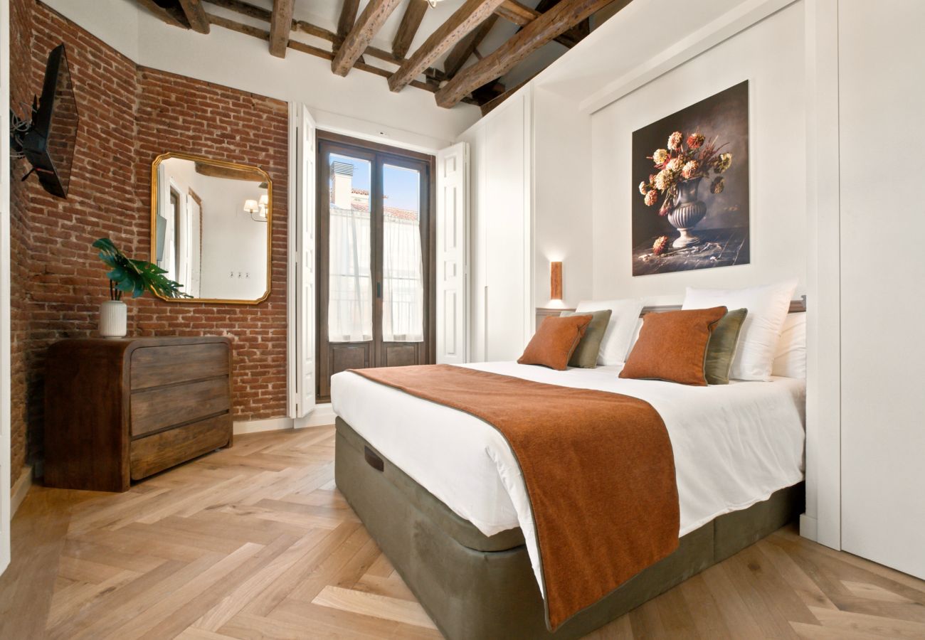 Apartment in Madrid - Travesia Madrid XII apartment