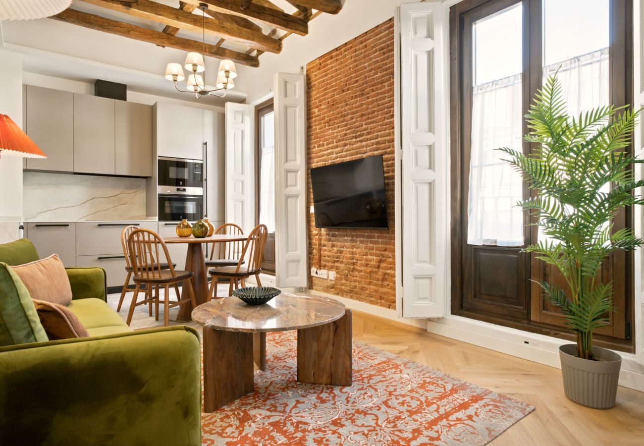 Apartment in Madrid - Travesia Madrid XII apartment