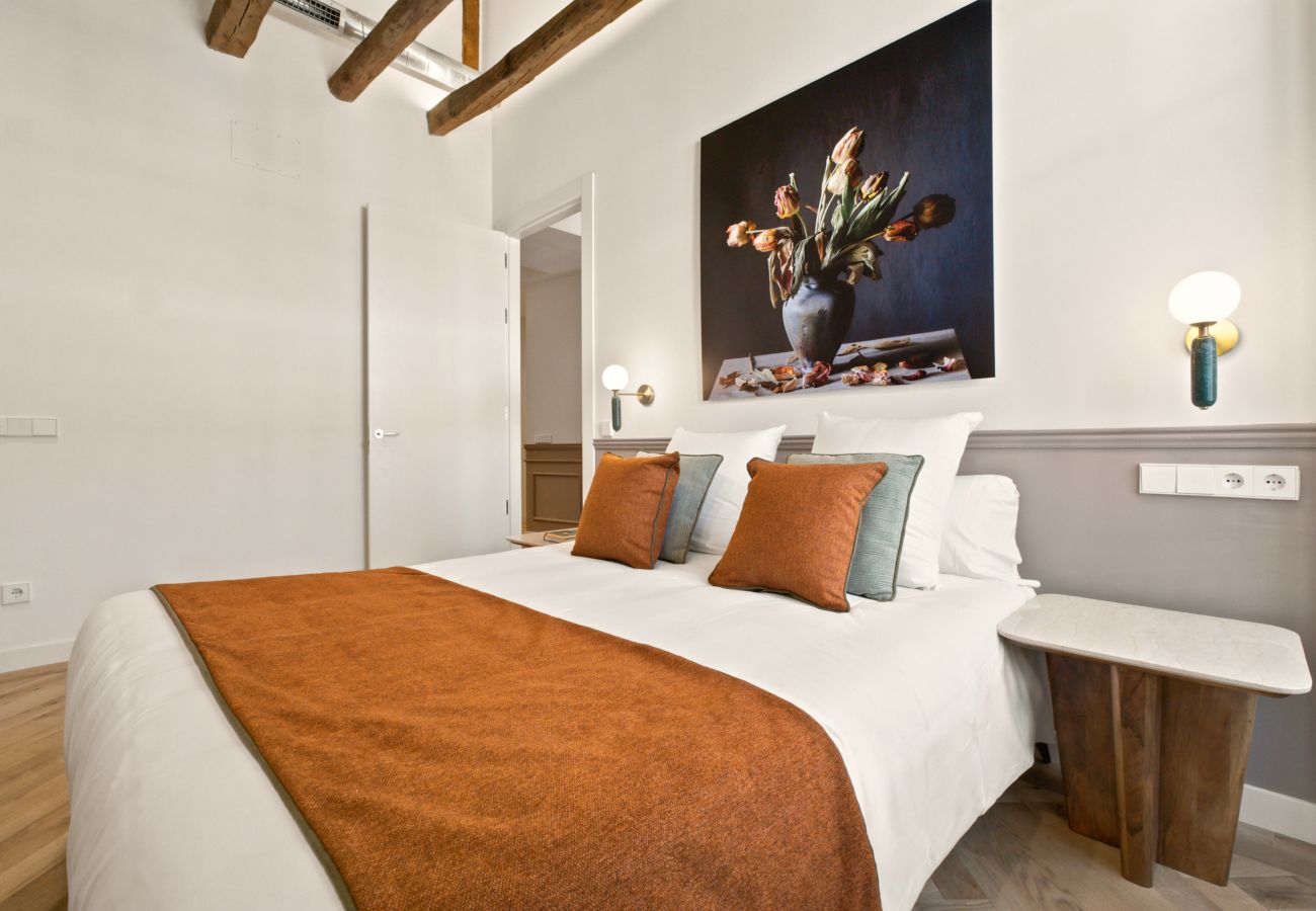 Apartment in Madrid - Travesia Madrid XI apartment