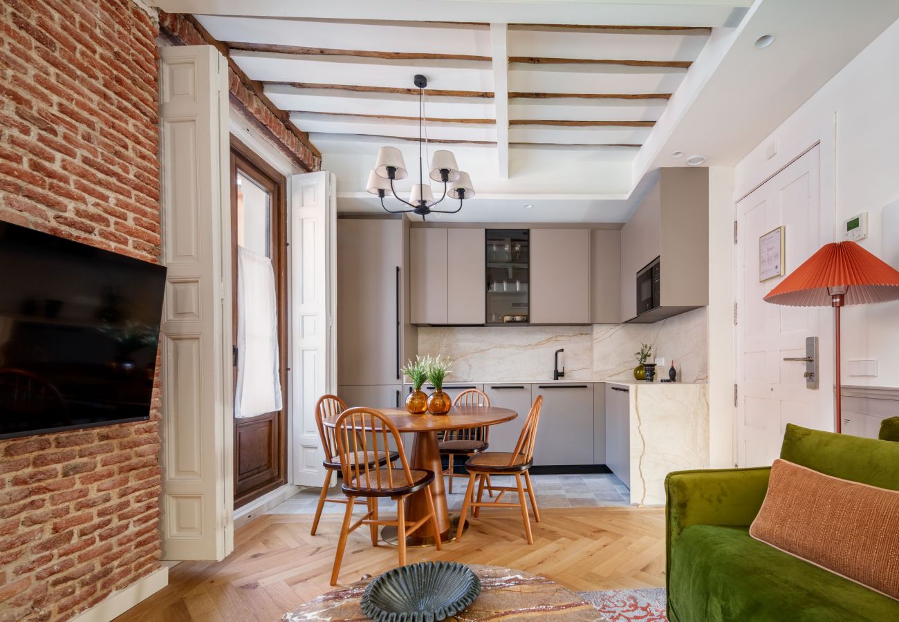 Apartment in Madrid - Travesia Madrid X apartment 