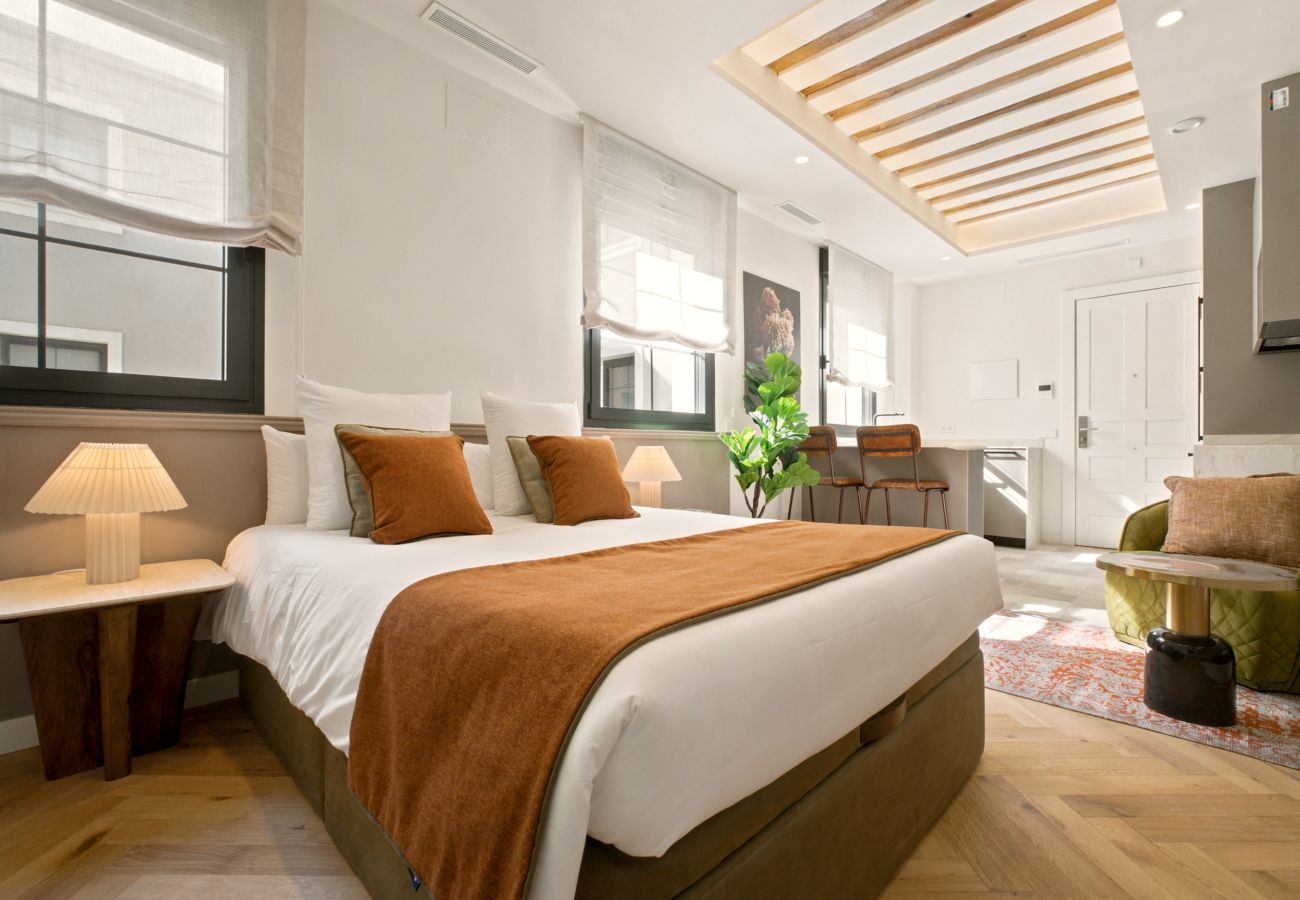 Studio in Madrid - Travesia Madrid III apartment