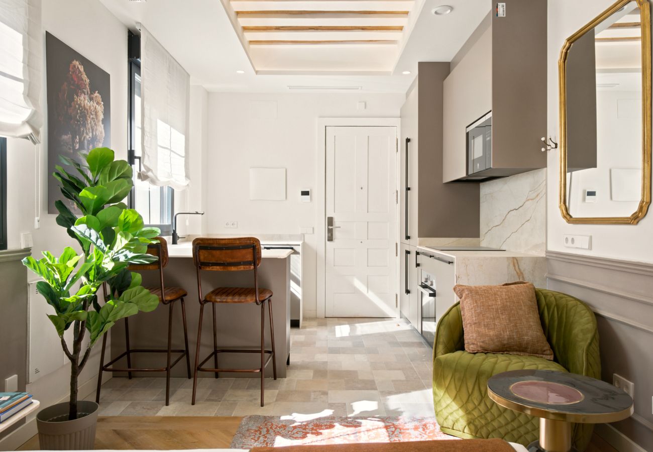 Studio in Madrid - Travesia Madrid III apartment