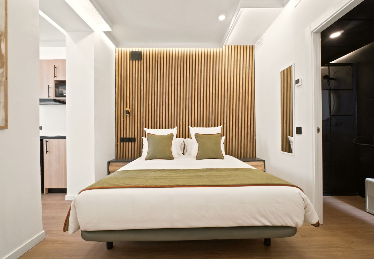 Studio in Madrid - Bulevar Living 19 apartment in Madrid 